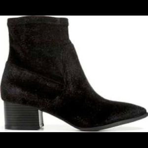Coconuts by Matisse Booties
